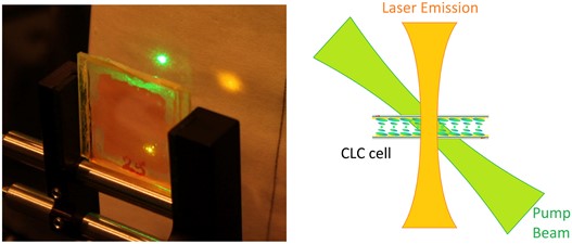 Figure: Laser in a liquid crystal cell (Serena Bolis)